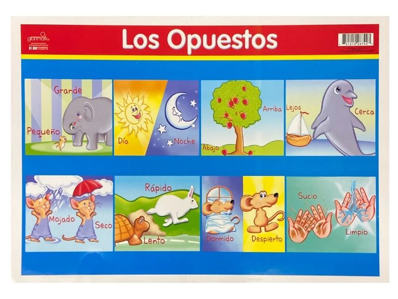 Póster Didáctico Mini 25×35cm 35×25cm granmark® [Pieza] - Image 42