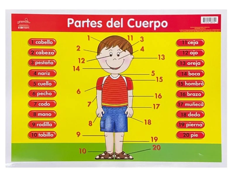 Póster Didáctico Mini 25×35cm 35×25cm granmark® [Pieza] - Image 58