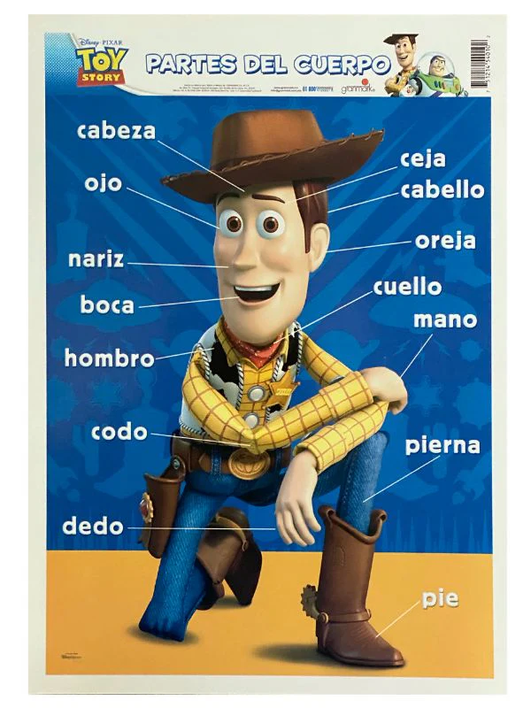 Póster Didáctico Mini 25×35cm 35×25cm granmark® [Pieza] - Image 60