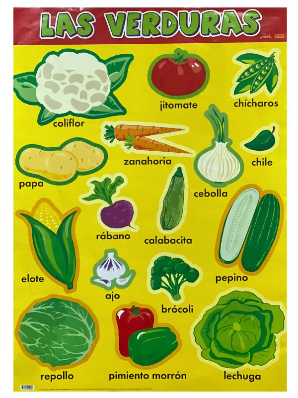 Póster Didáctico Mini 25×35cm 35×25cm granmark® [Pieza] - Image 76