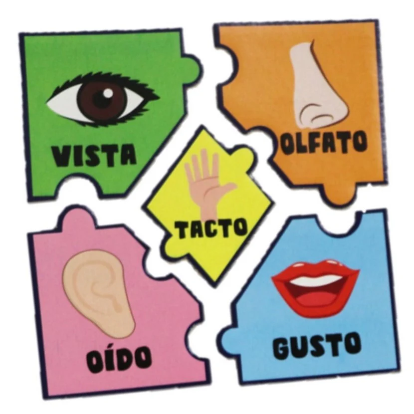 Rompecabezas Vocales y Sentidos 10 Piezas DaccArT® [Pieza] - Image 2