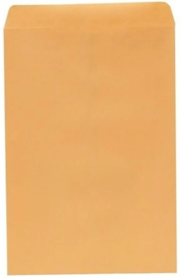 Sobre Bolsa 609 Fólder 60kg Golden Kraft 26×34cm Mapasa® IA0032 [Sobre]